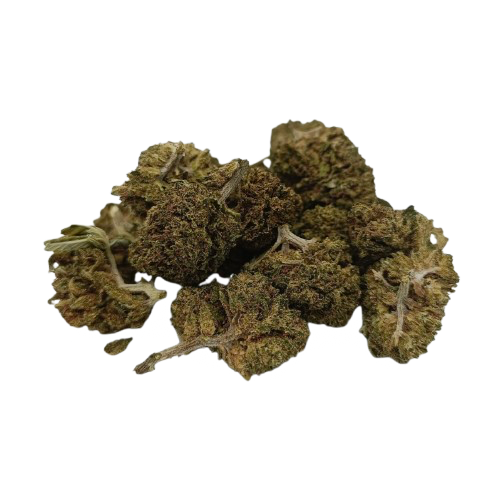 🎁 White widow Small (100% off)