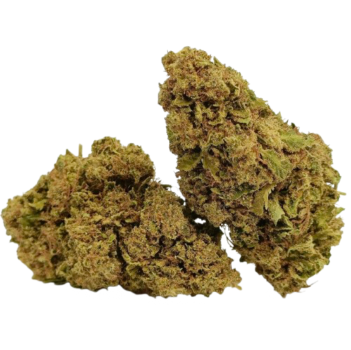 🎁 White Widow (100% off)